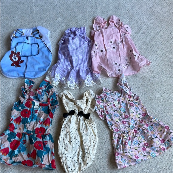 Bundle of Assorted Dog Dresses and Outfits
